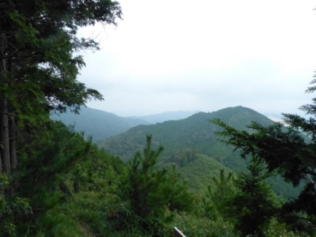 画像34
